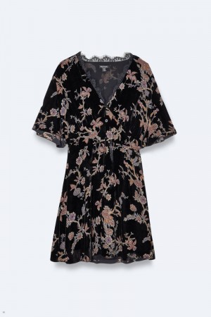 Šaty Nasty Gal Plus Velikost Ditsy Floral Devore Krajkové Trim Skater Černé | CZ 0483-RCPDA