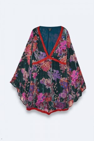 Šaty Nasty Gal Plus Velikost Krajkové Trim Floral Devore Flare Sleeve Mini Viacfarebný | CZ 5619-UIKJY