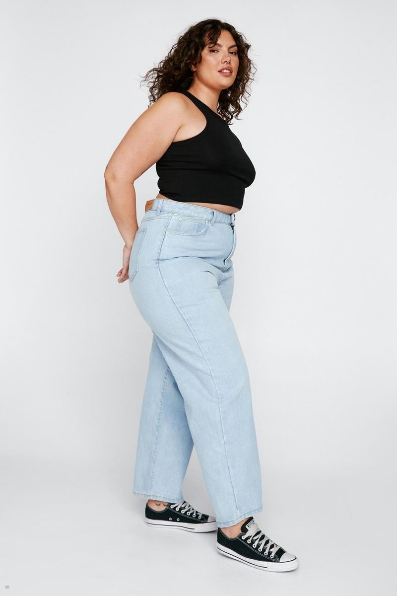 Džíny Nasty Gal Plus Velikost High Waisted Denim Mom Blankyt | CZ 8351-TVUCP