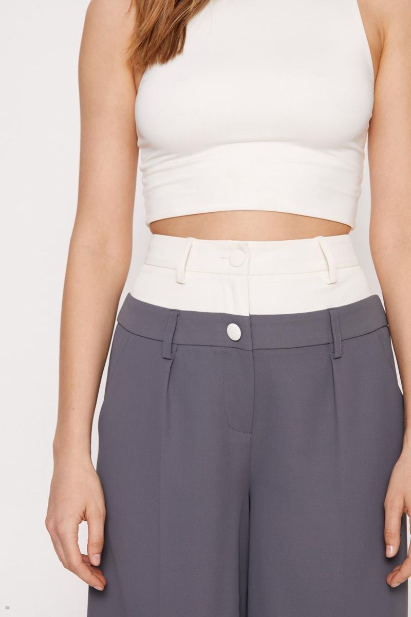 Kalhoty Nasty Gal Premium Waistband Detail Šedé | CZ 6952-YAFKU