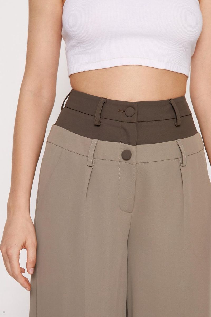 Kalhoty Nasty Gal Premium Waistband Detail Hnědé | CZ 5712-UWCJE