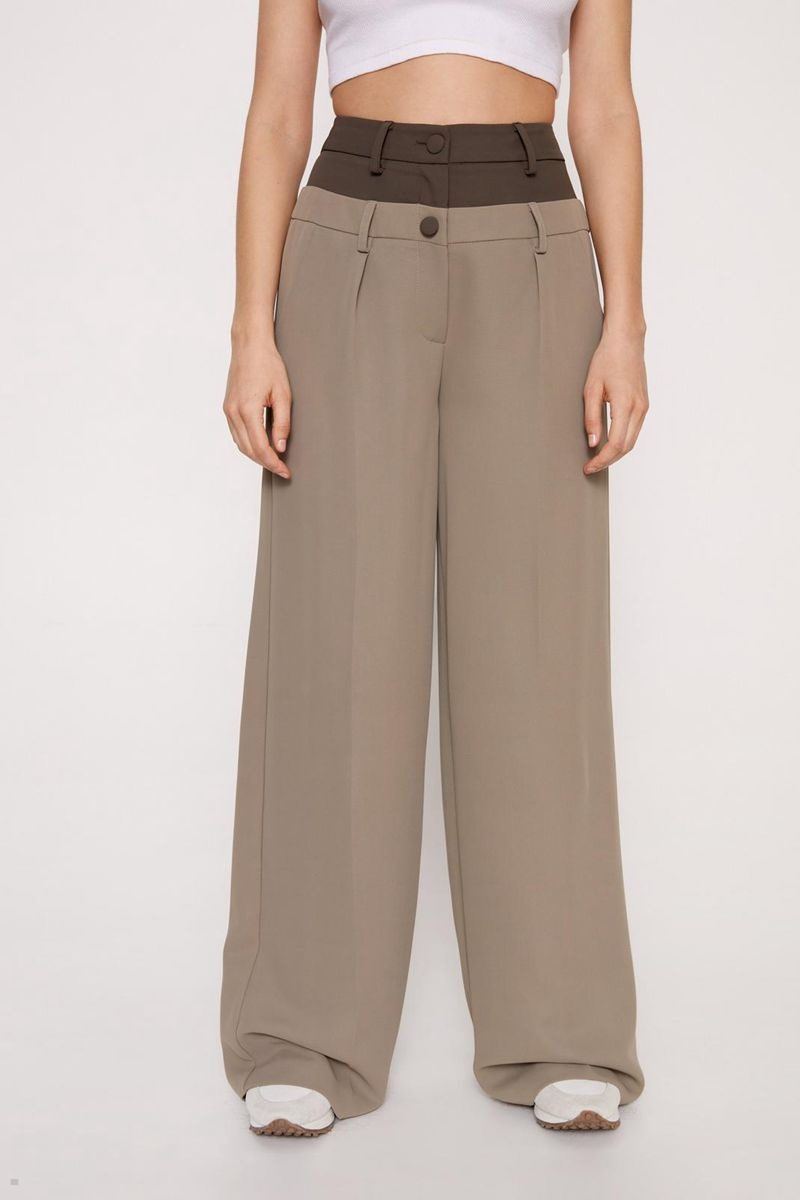 Kalhoty Nasty Gal Premium Waistband Detail Hnědé | CZ 5712-UWCJE