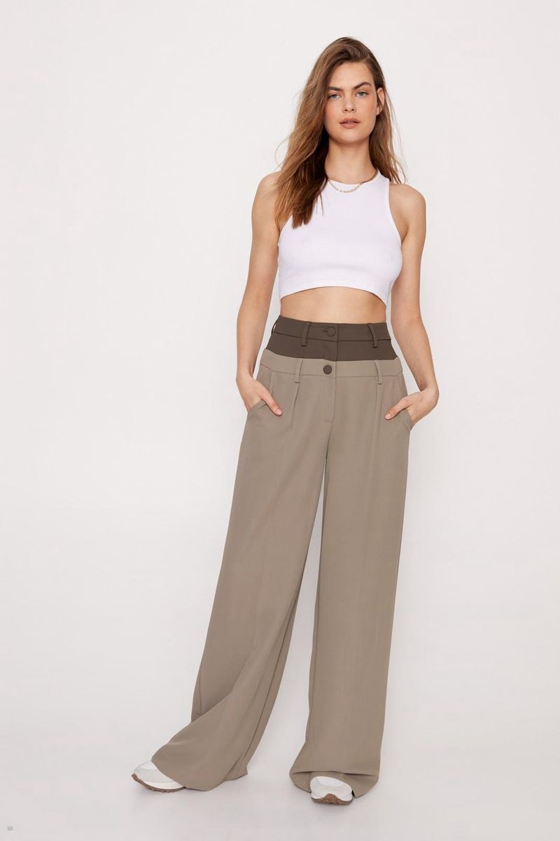 Kalhoty Nasty Gal Premium Waistband Detail Hnědé | CZ 5712-UWCJE