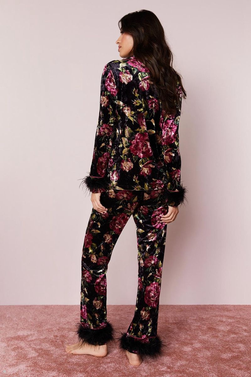 Sady Nasty Gal Premium Floral Velvet Feather Trim Pajama Pants Černé | CZ 4901-IGQTR