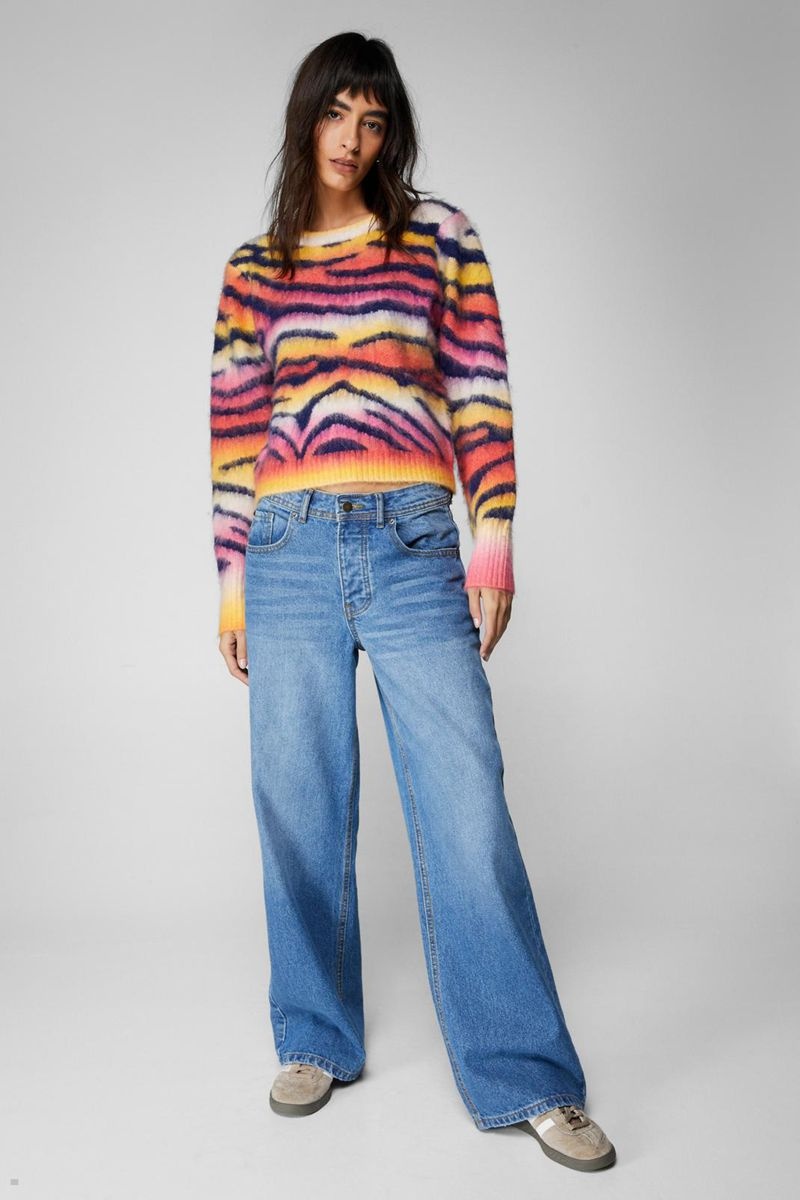 Svetry Nasty Gal Tiger Stripe Knit Viacfarebný | CZ 7940-LAIPR